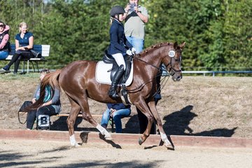 Bild 83 - Pony Akademie Turnier